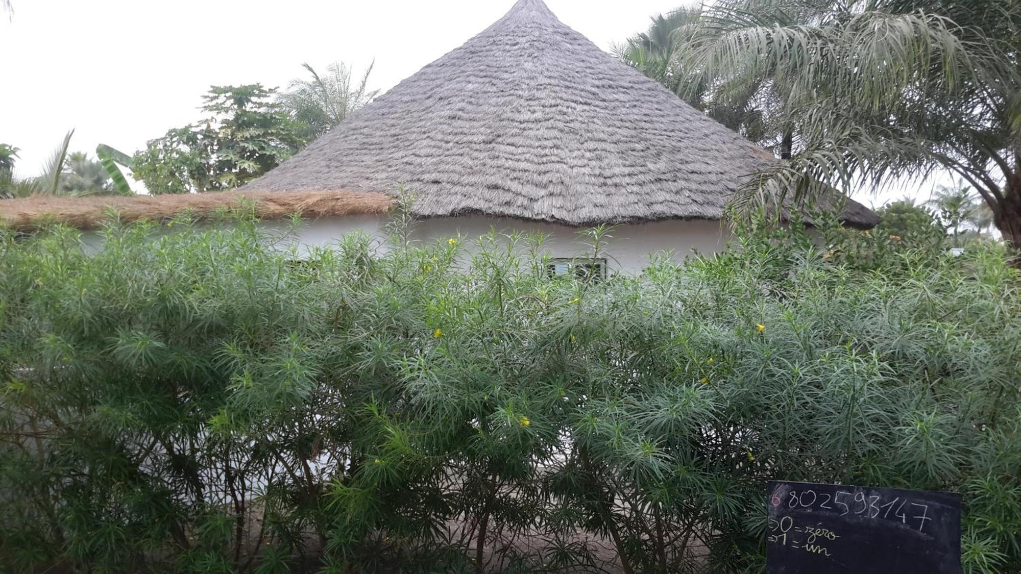 Case Traditionnelle Diola Au Bord De L'Ocean แค็ปสเกอร์ริง ภายนอก รูปภาพ
